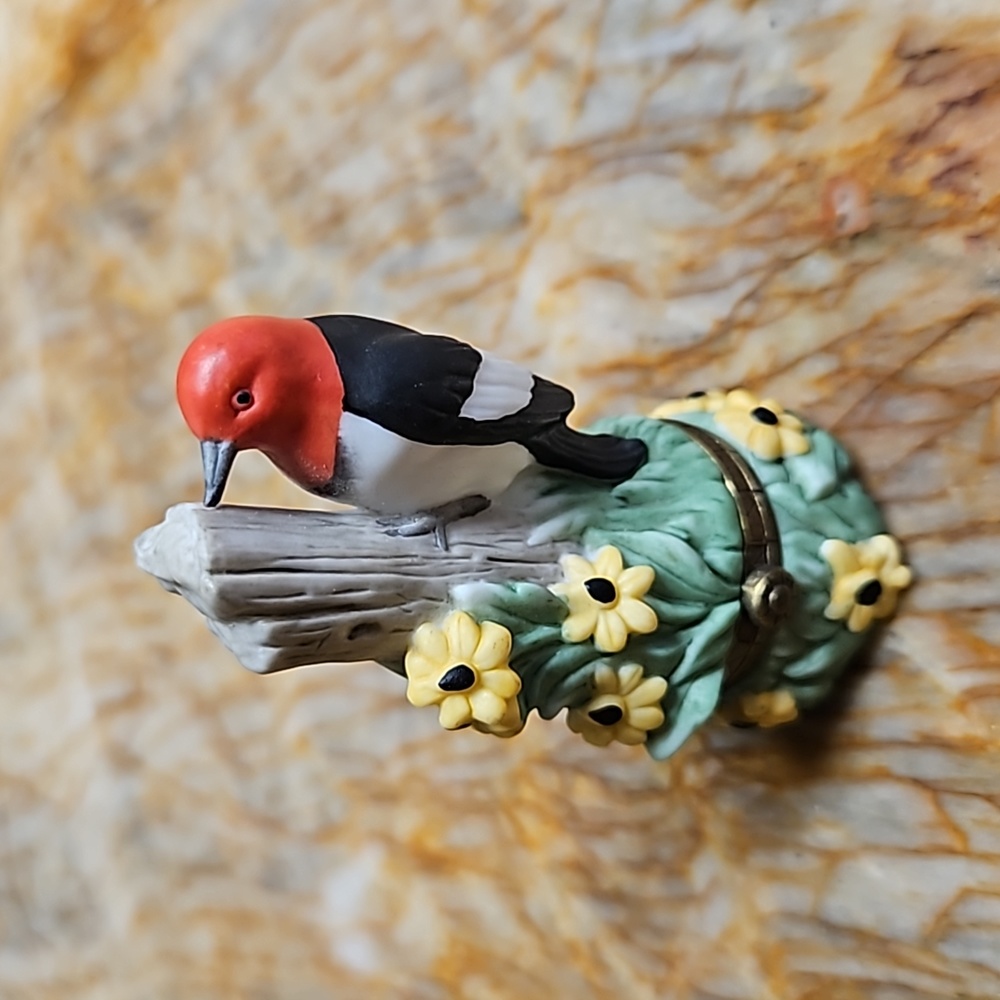🎉HOST PICK 🥳 RED HEADED WOODPECKER BIRD Trinket  Box